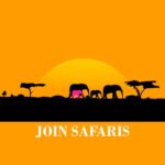Join Safaris Limited