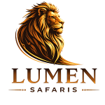 Lumen Safaris Logo